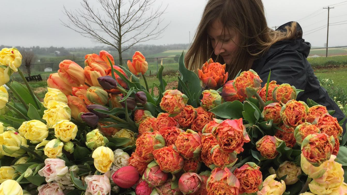 Wrapping up the week