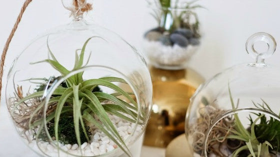 DIY projects I want to try