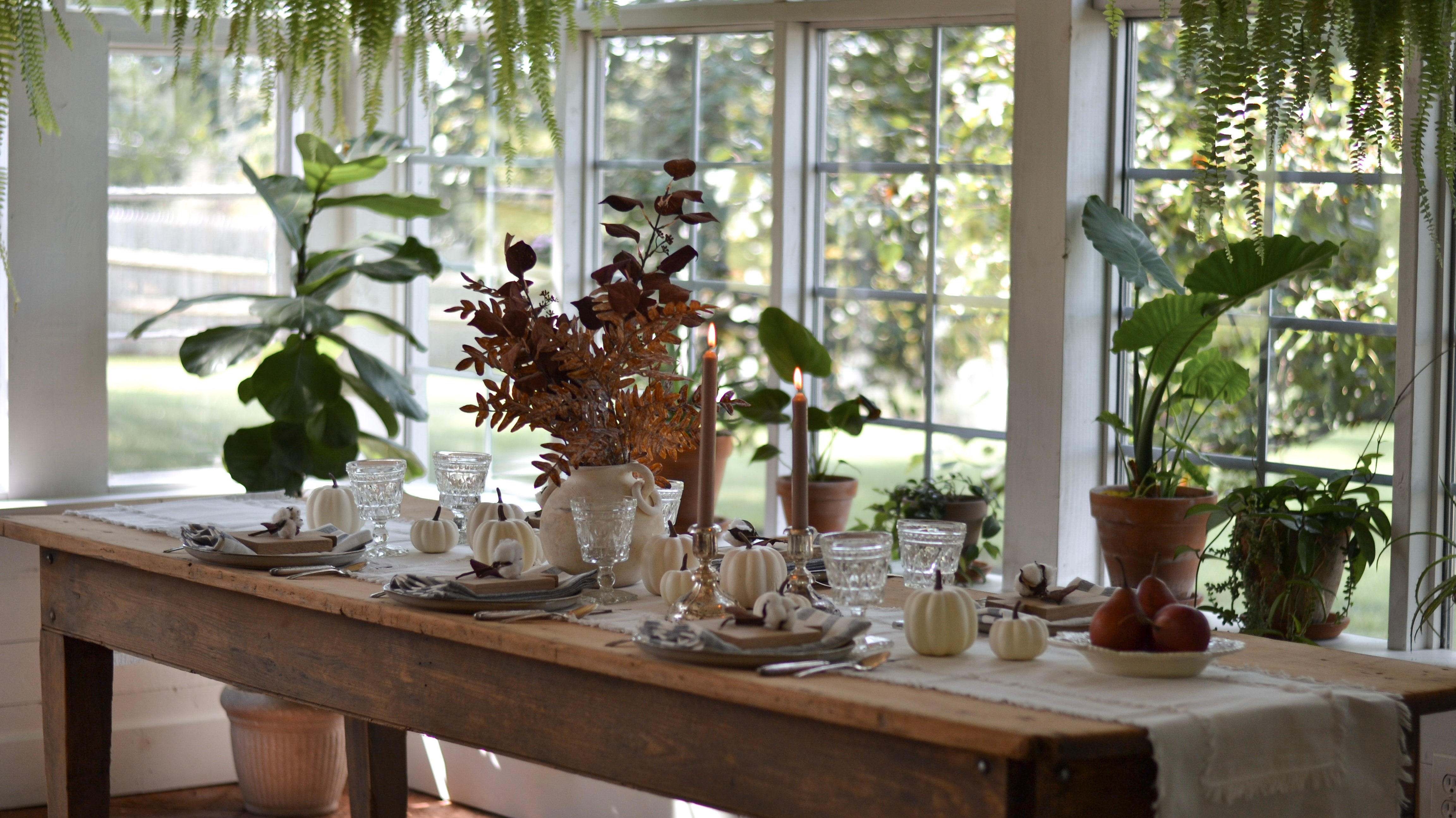 Exciting News: A New Name, A New Chapter!