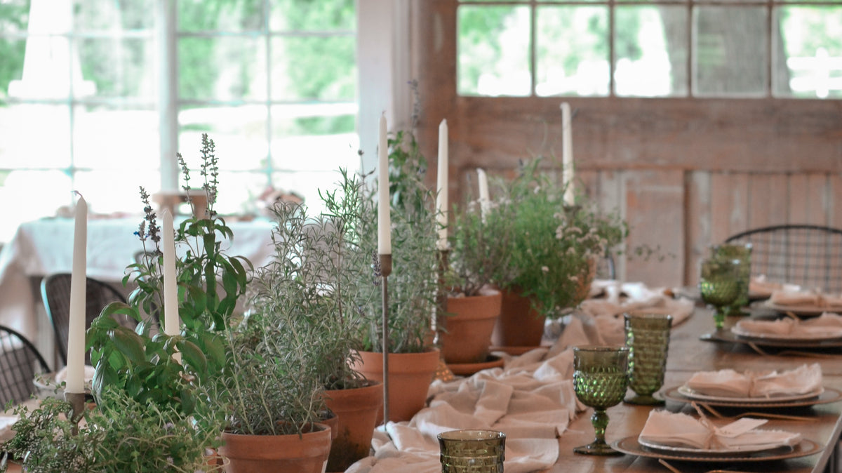 A Gathering At The Garden House