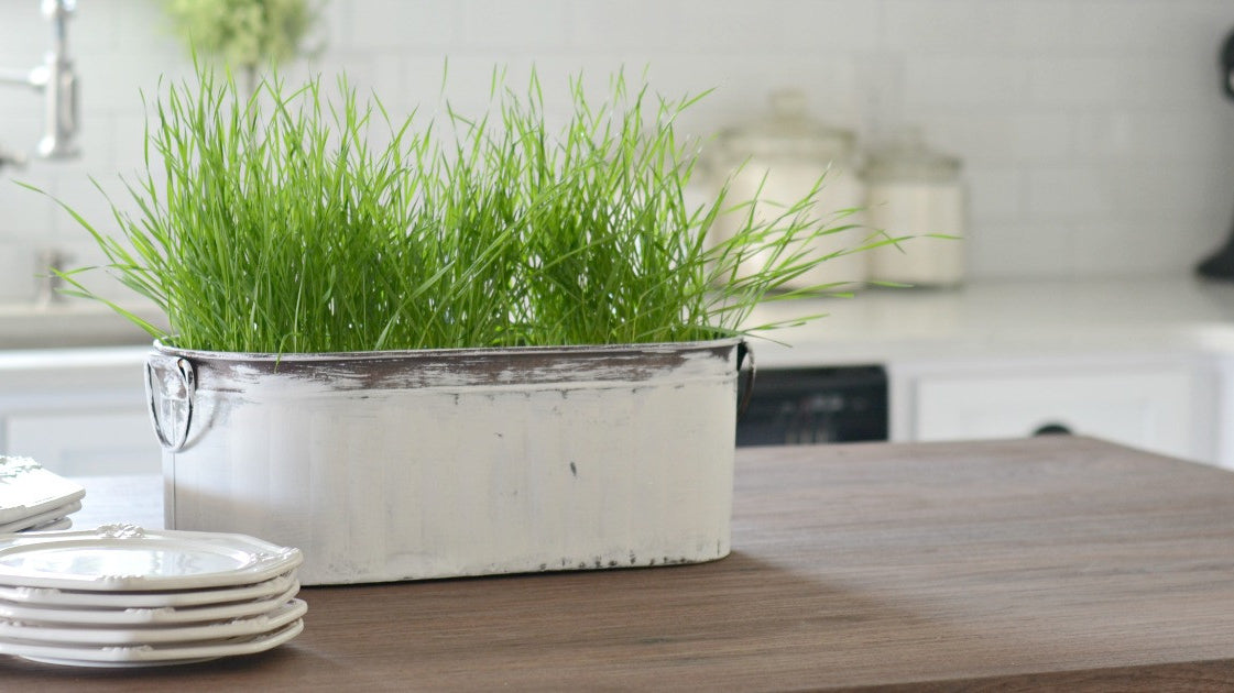 Easy Wheat Grass Centerpiece Idea