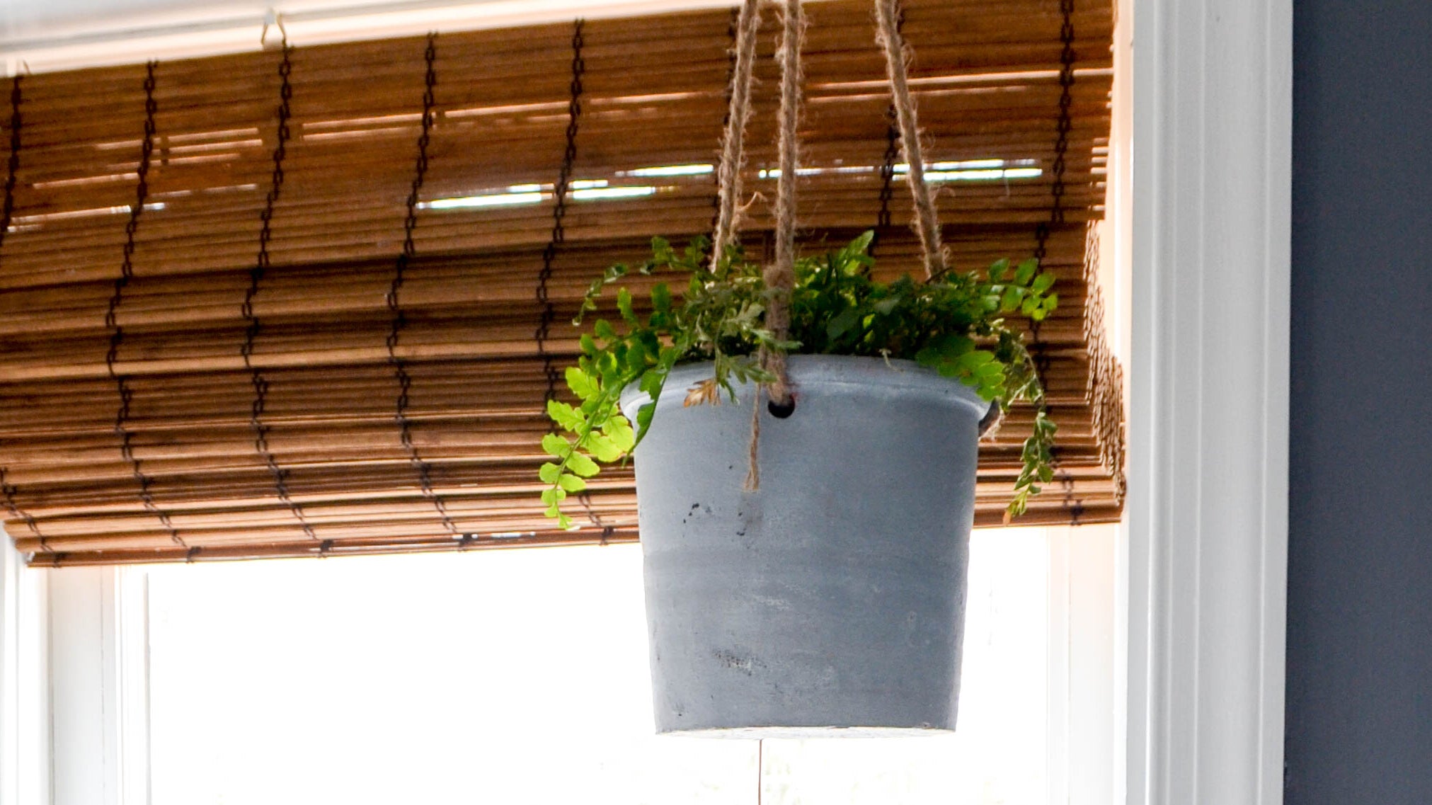 Hanging Planter and a Bathroom Facelift