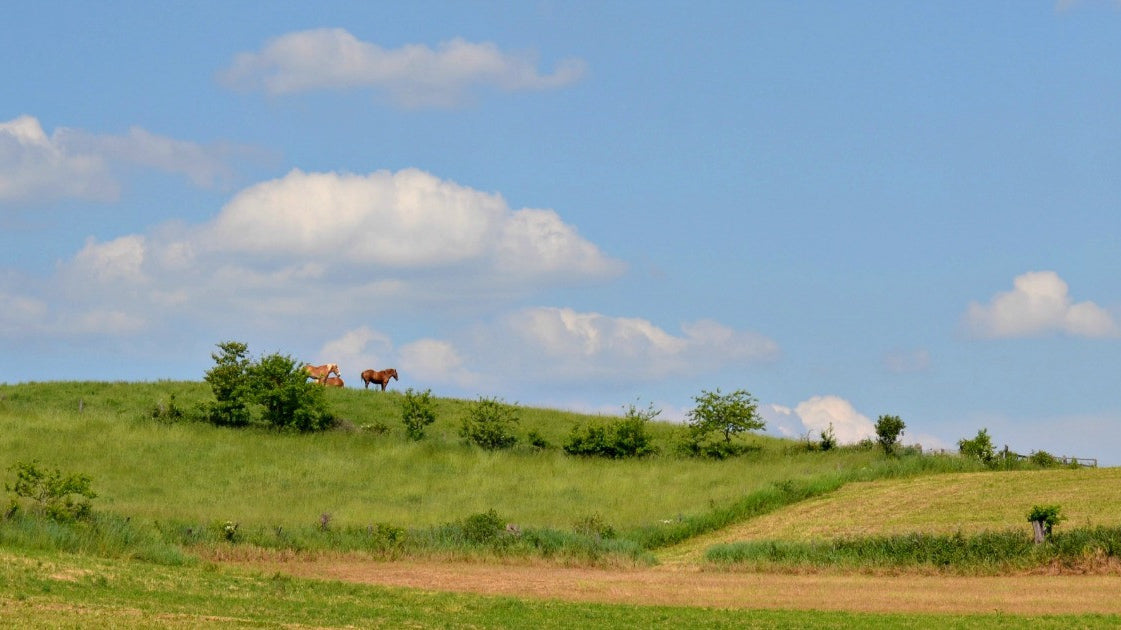 Wrapping up the week