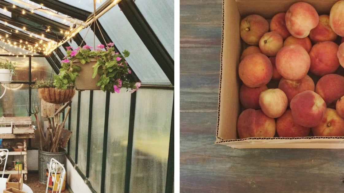 Wrapping up the week