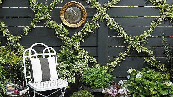 Garden Ideas I Want To Try