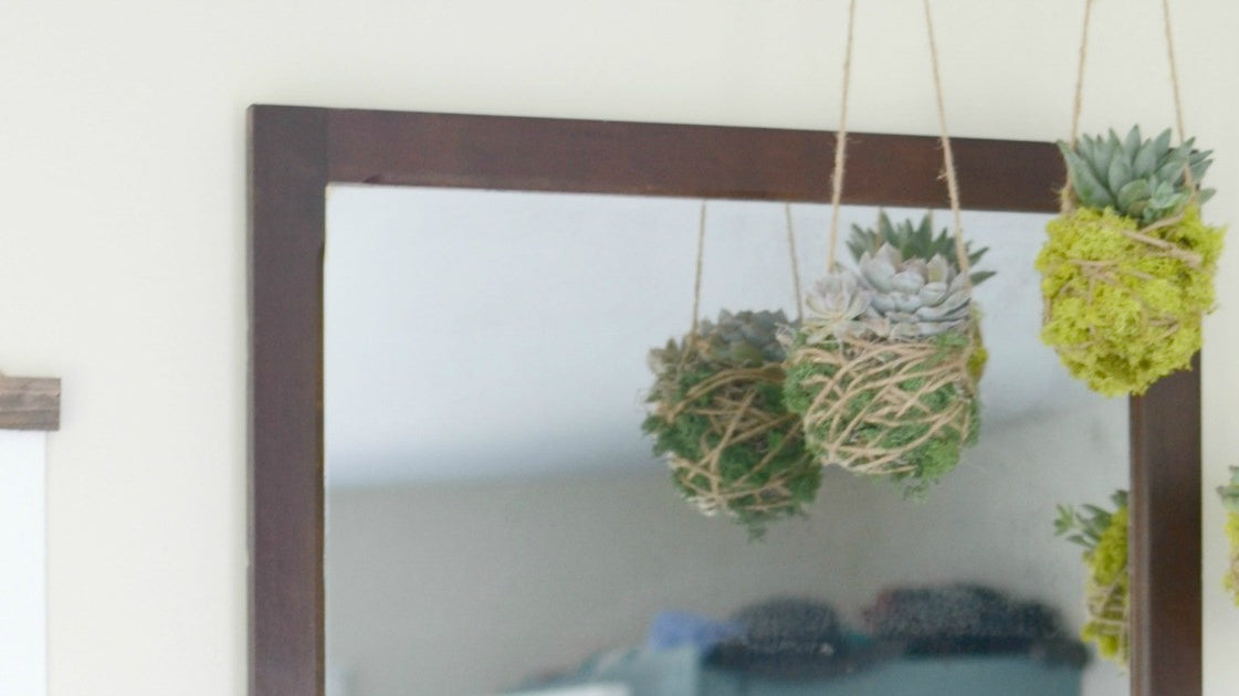 Hanging Succulents DIY
