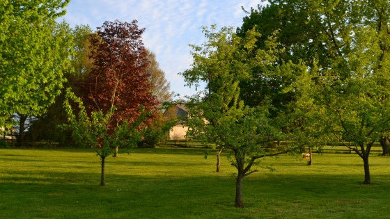 Outside our little farm