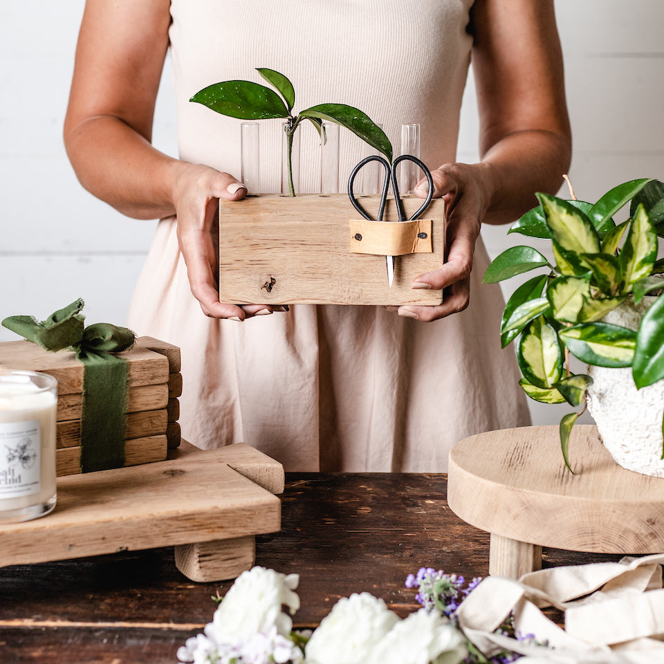 Wood Plant Propagation Stand - Aimee Weaver Designs