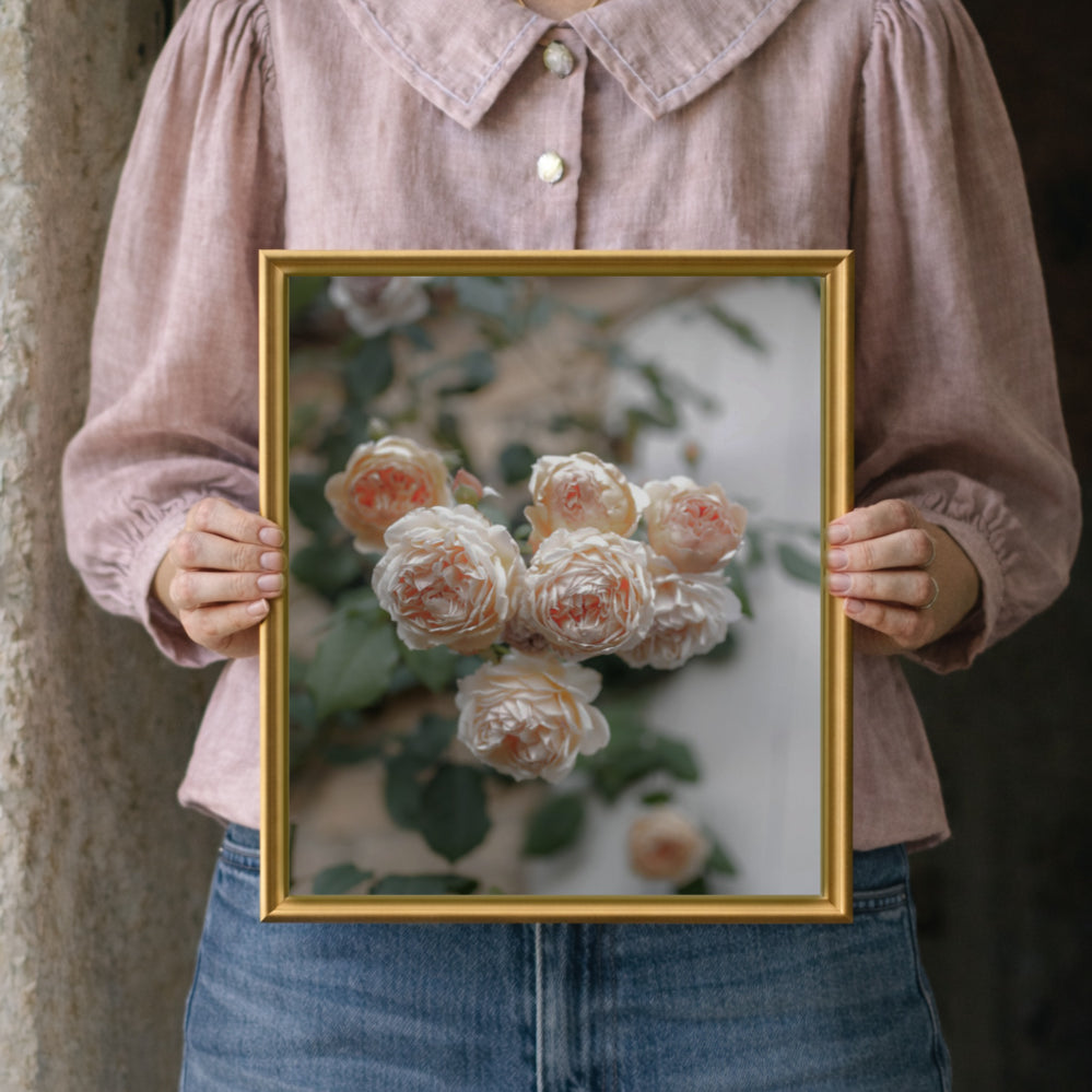 English Roses Artwork - Aimee Weaver Designs