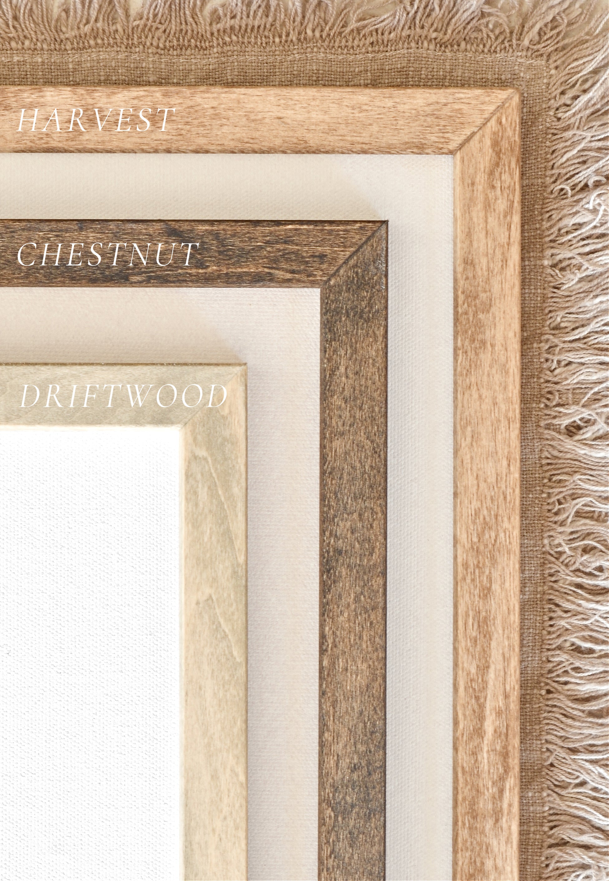 Oregon Forest | Framed Art - Aimee Weaver Designs