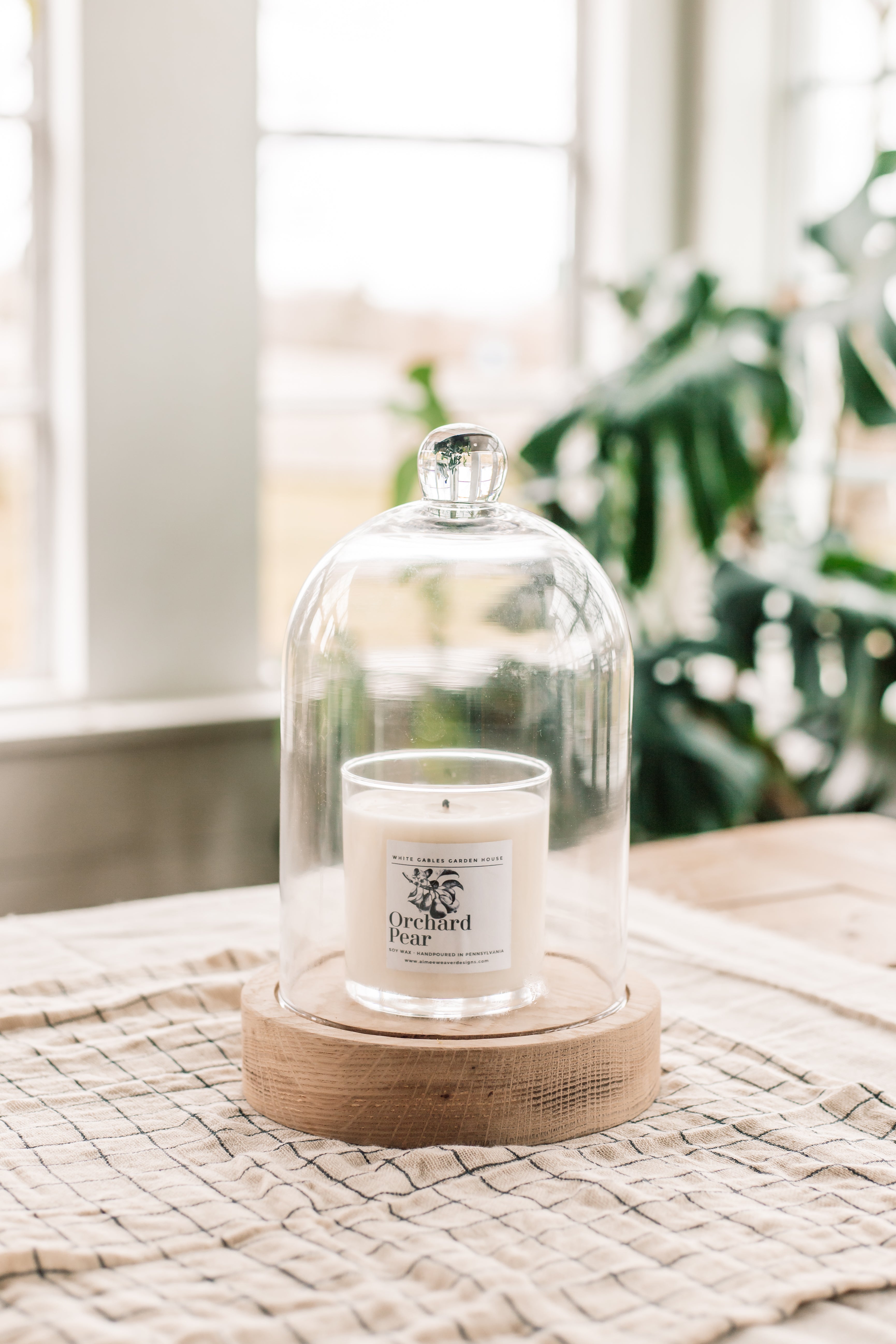 Clear Glass Dome With Wood Base - Aimee Weaver Designs