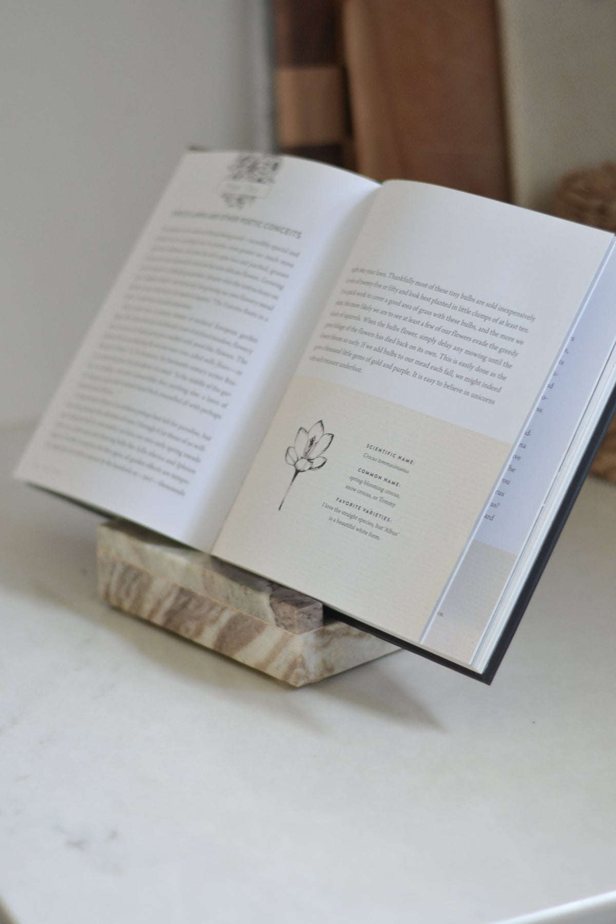 Marble Book Stand - Aimee Weaver Designs