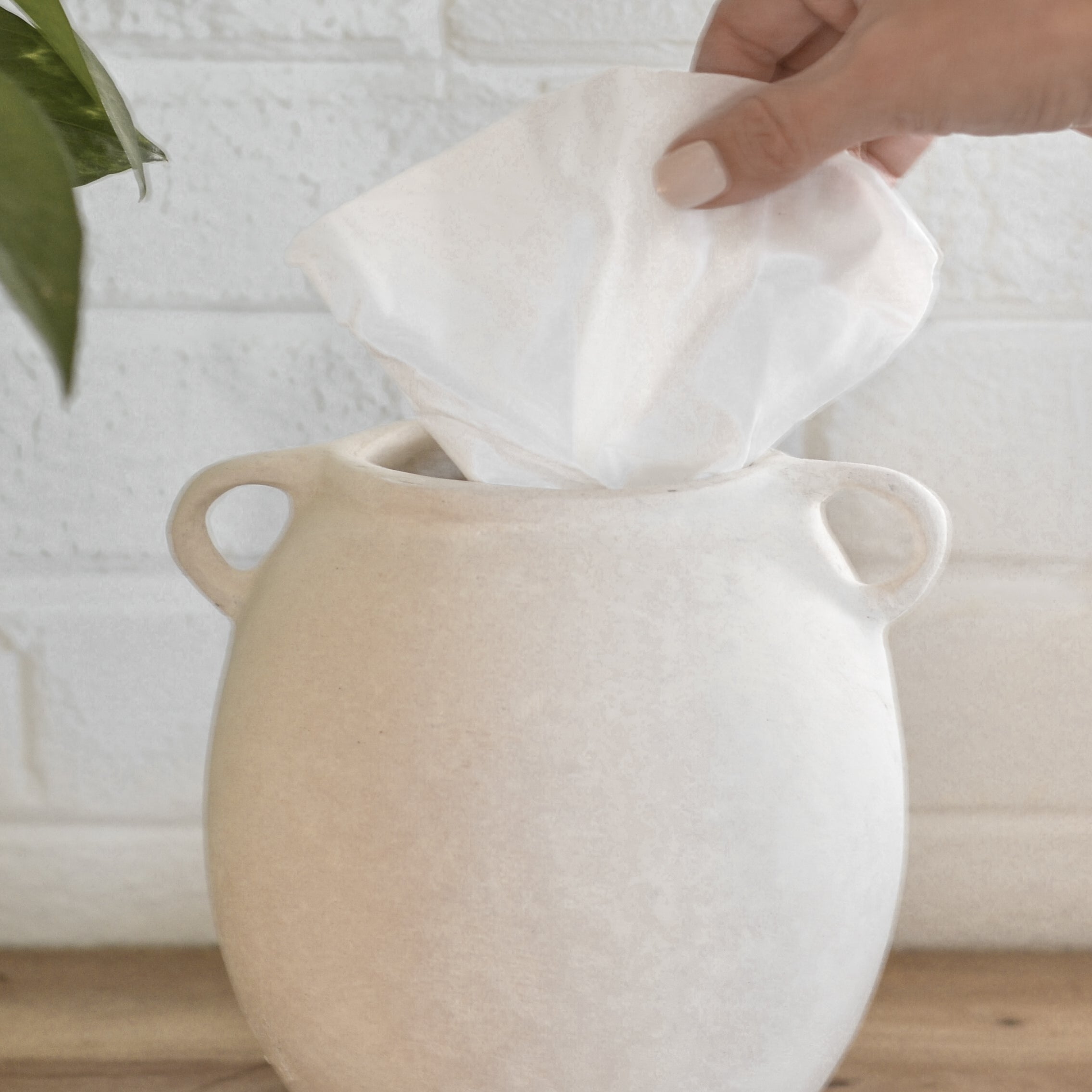 Olive Jar Tissue Holder - Aimee Weaver Designs