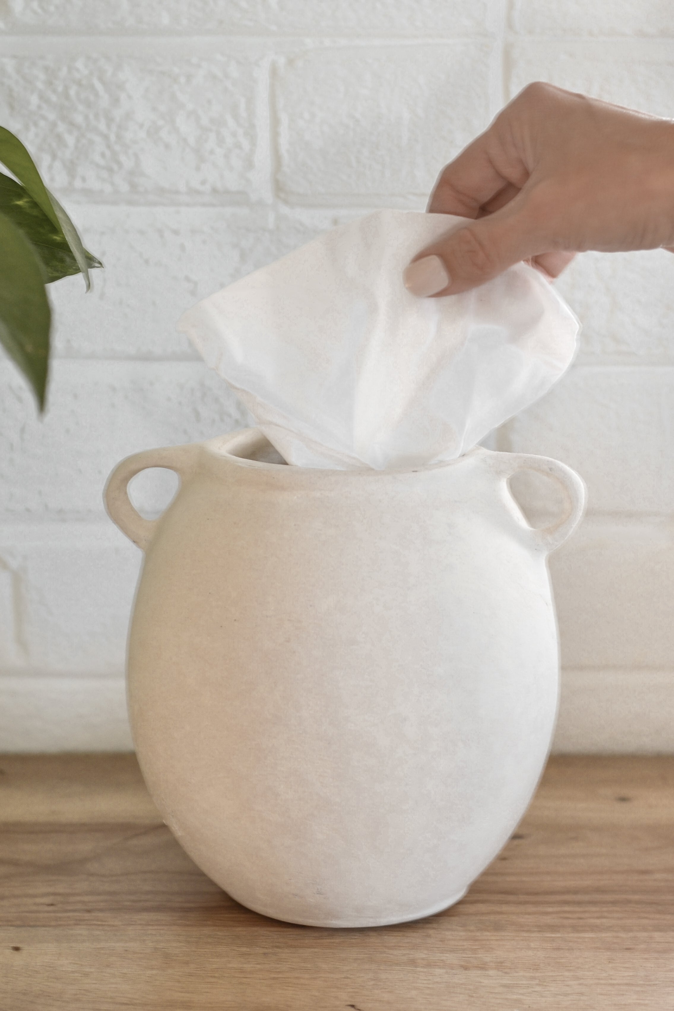 Olive Jar Tissue Holder - Aimee Weaver Designs