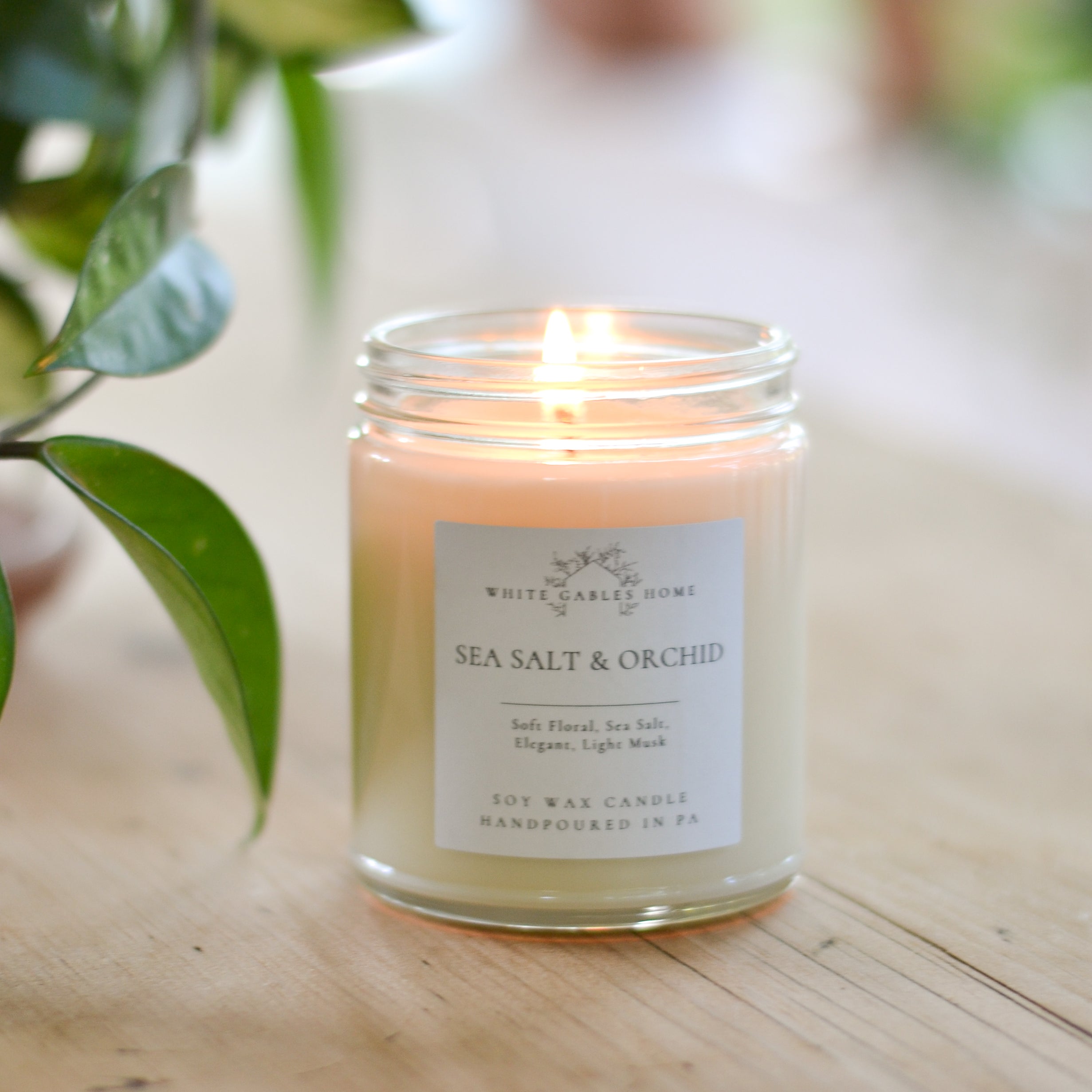 Sea Salt & Orchid Candle - Aimee Weaver Designs