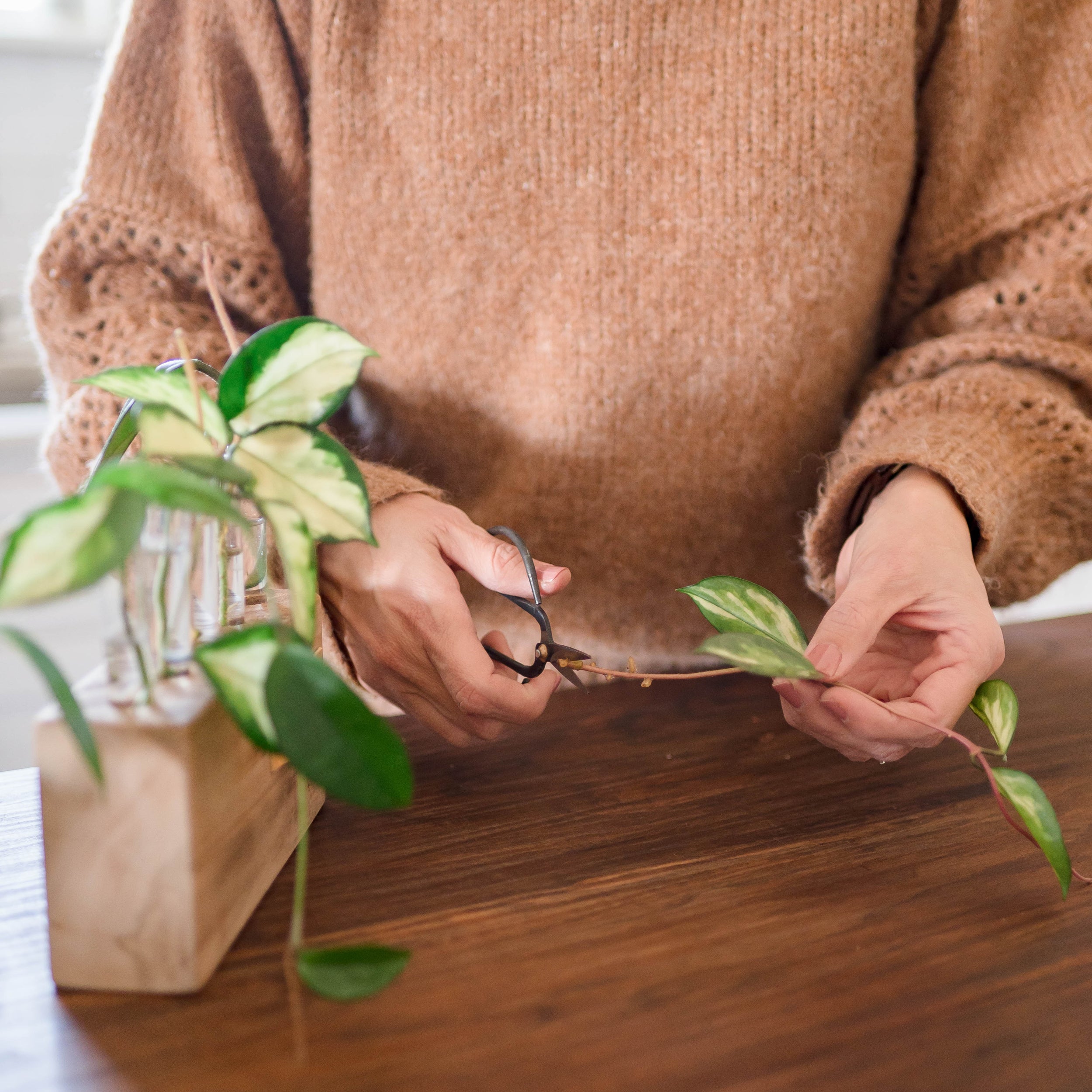 Wood Plant Propagation Stand - Aimee Weaver Designs