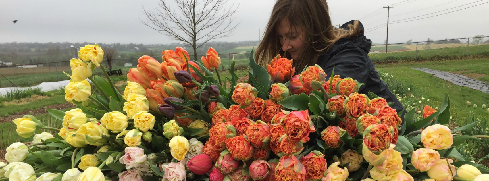 Wrapping up the week