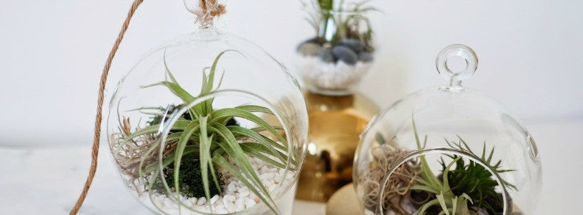 DIY projects I want to try