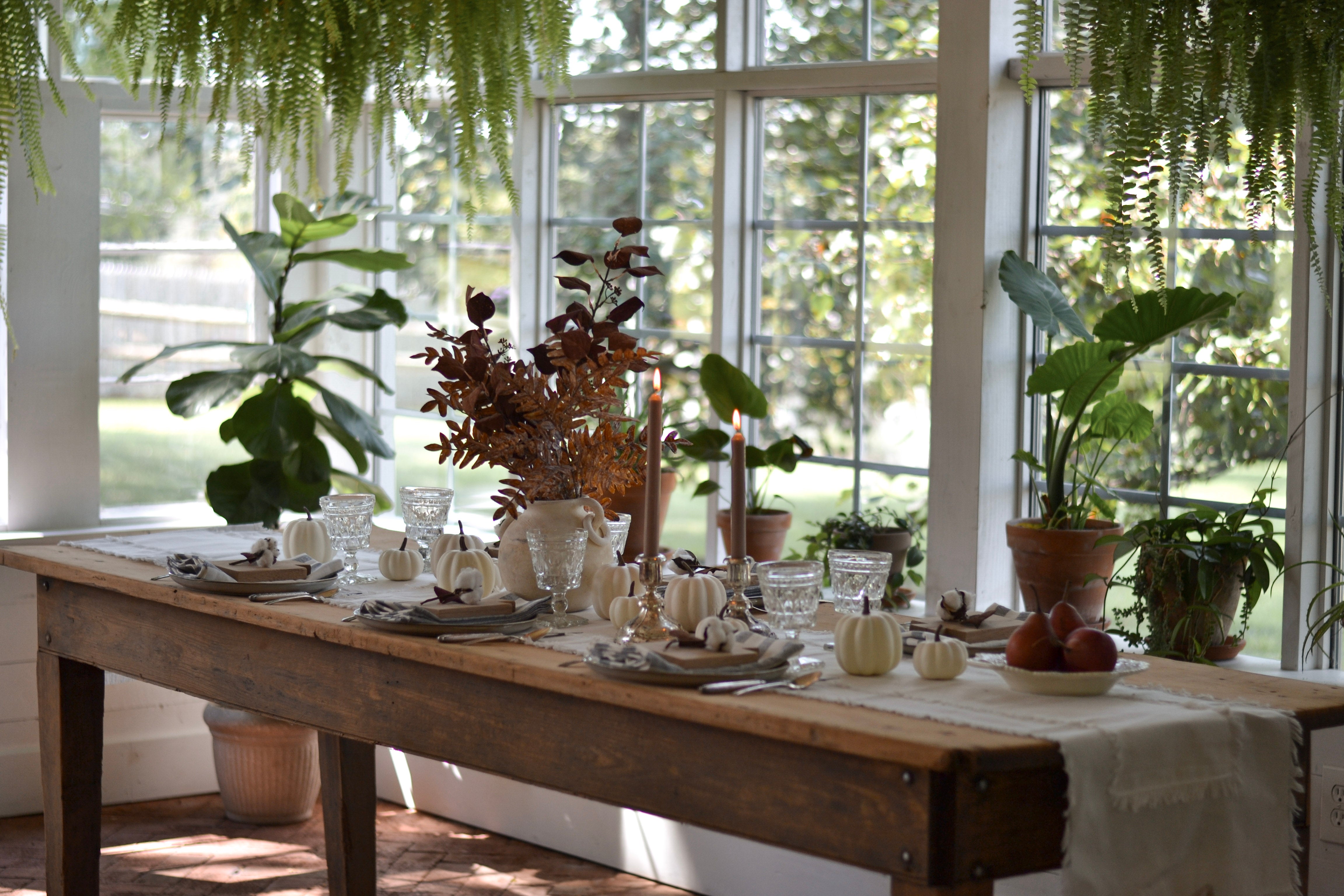 Exciting News: A New Name, A New Chapter!