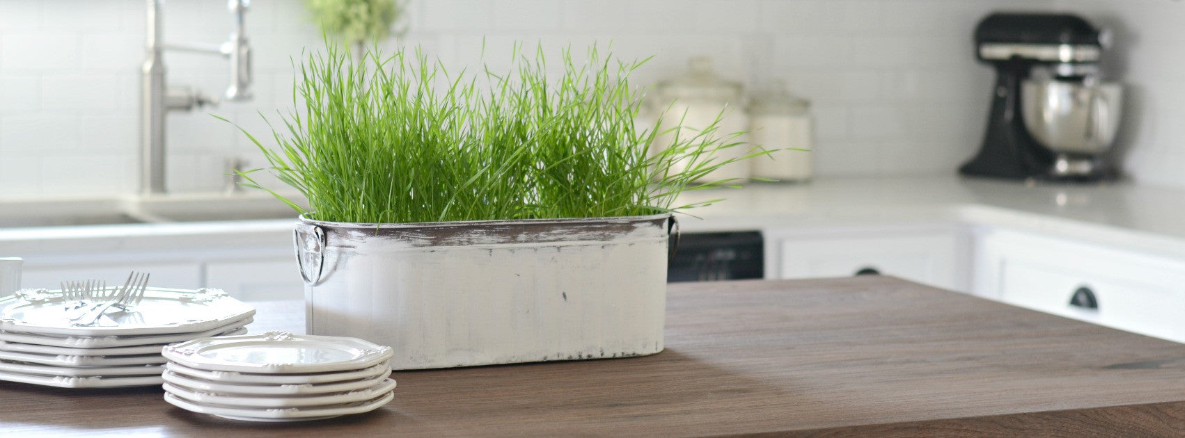 Easy Wheat Grass Centerpiece Idea