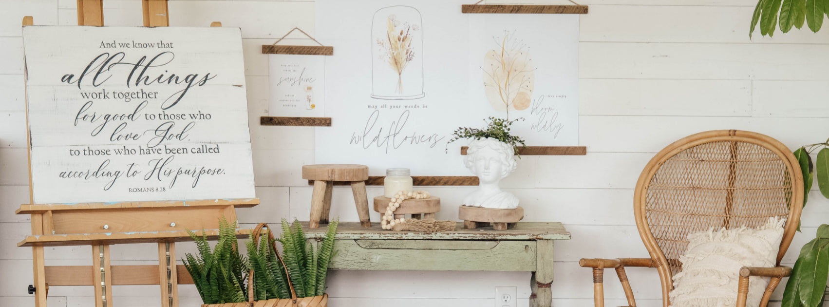 New Summer Collection