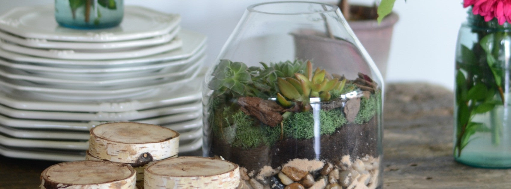 Terrarium DIY {Mother's Day Gift Idea}