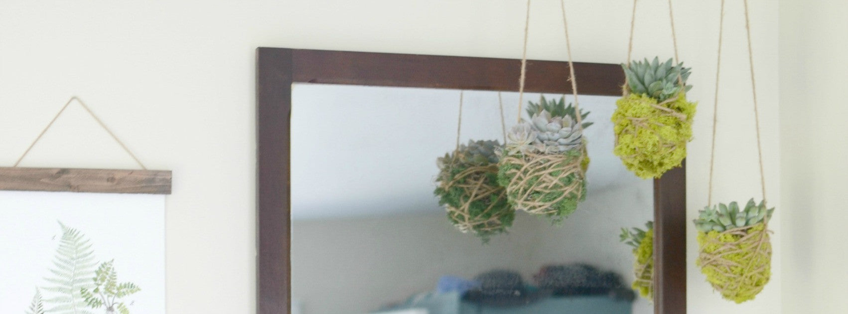 Hanging Succulents DIY