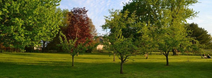 Outside our little farm