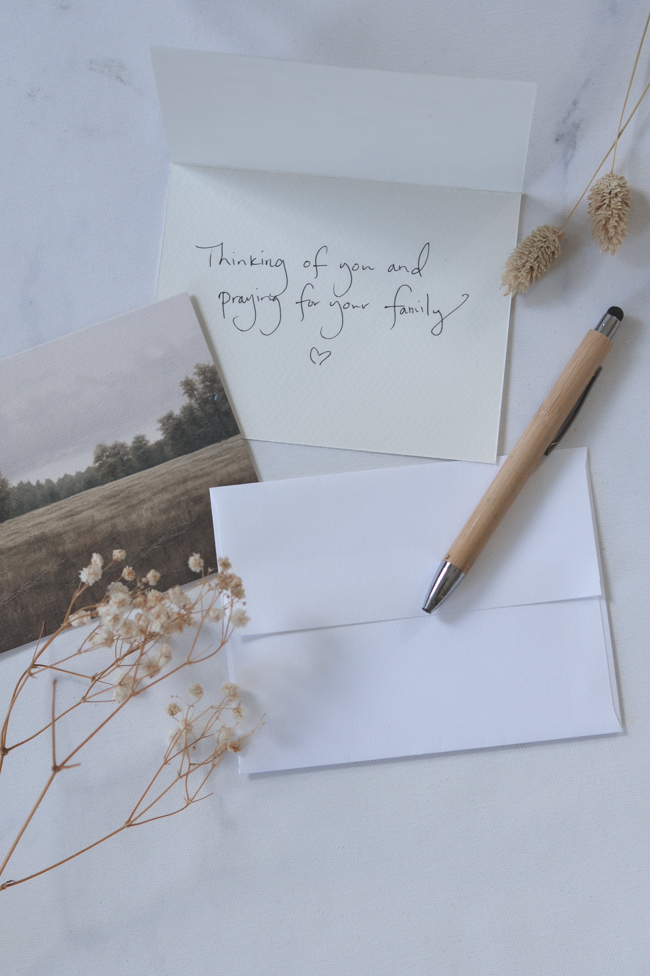 Premium Notecards | Set of 8 - Aimee Weaver Designs