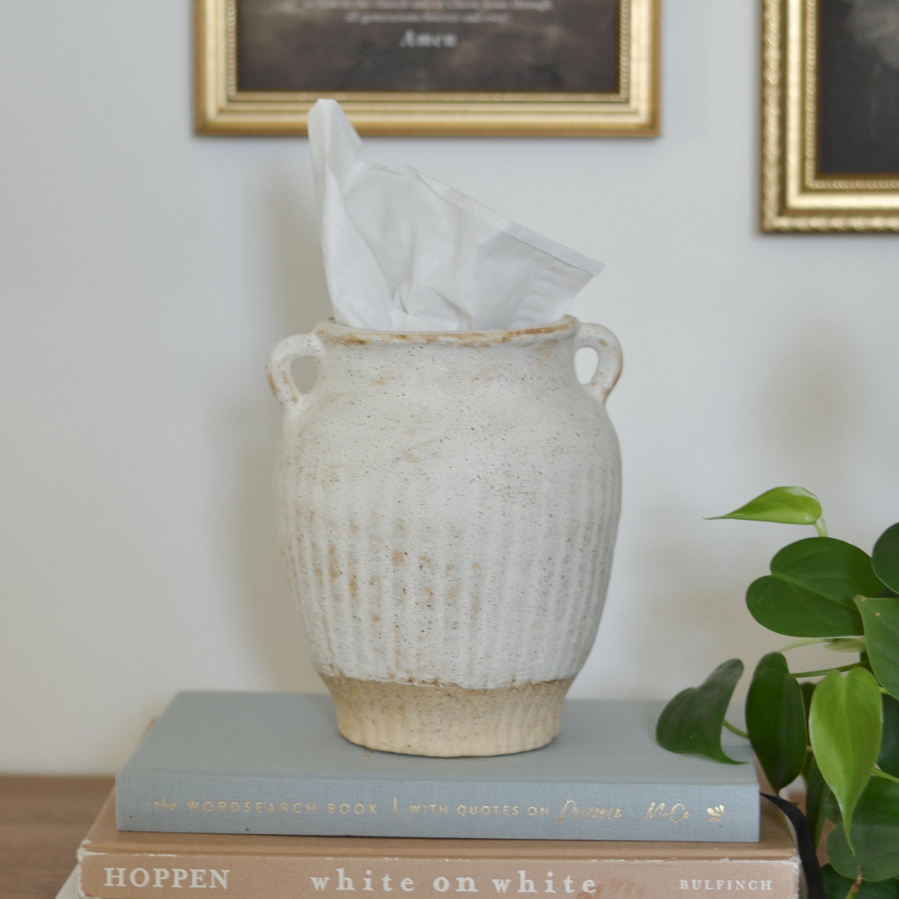 Decorative tissue holder vase, placed on books with a plant and framed pictures in the background.