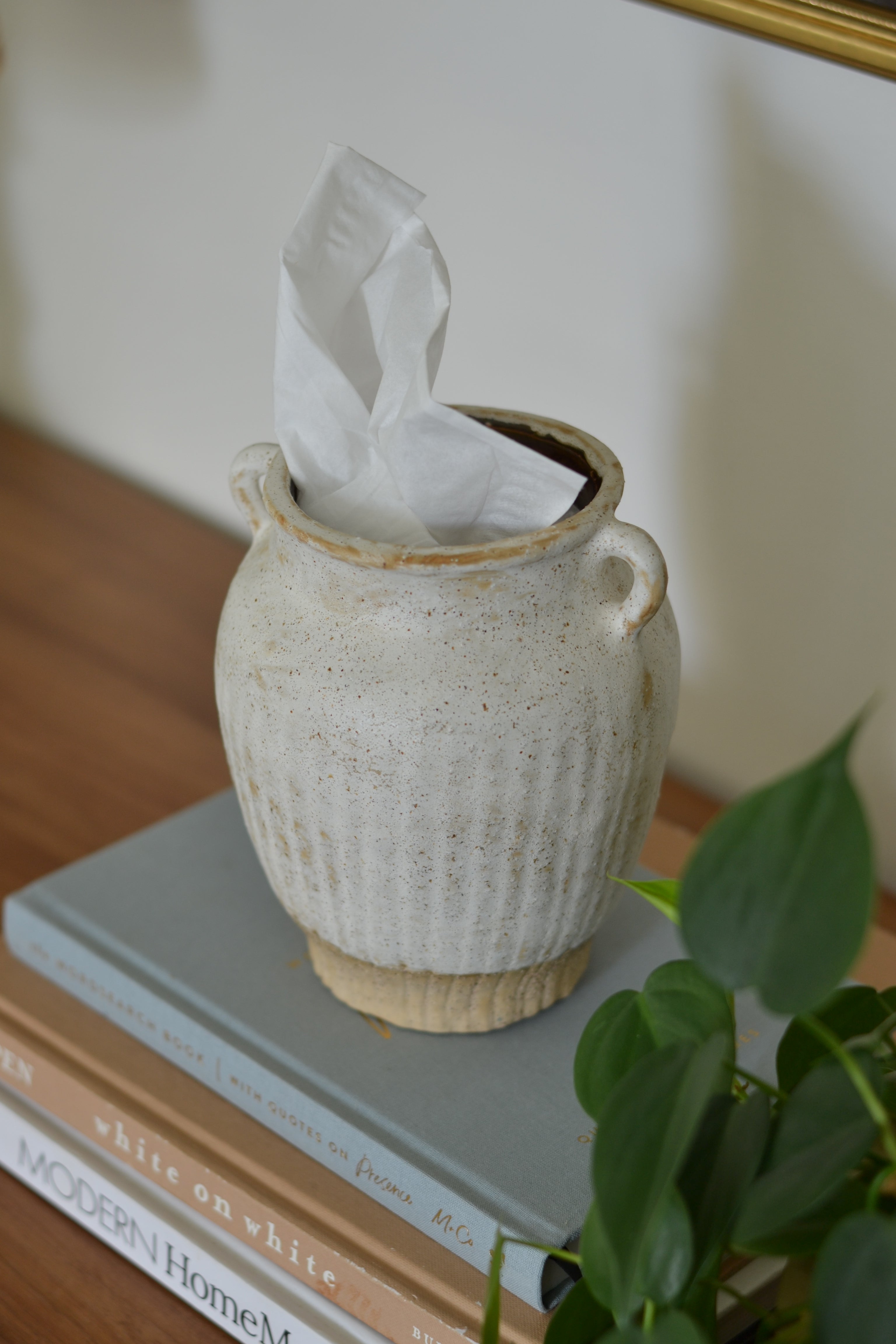Decorative tissue holder vase, placed on books with a plant and framed pictures in the background.