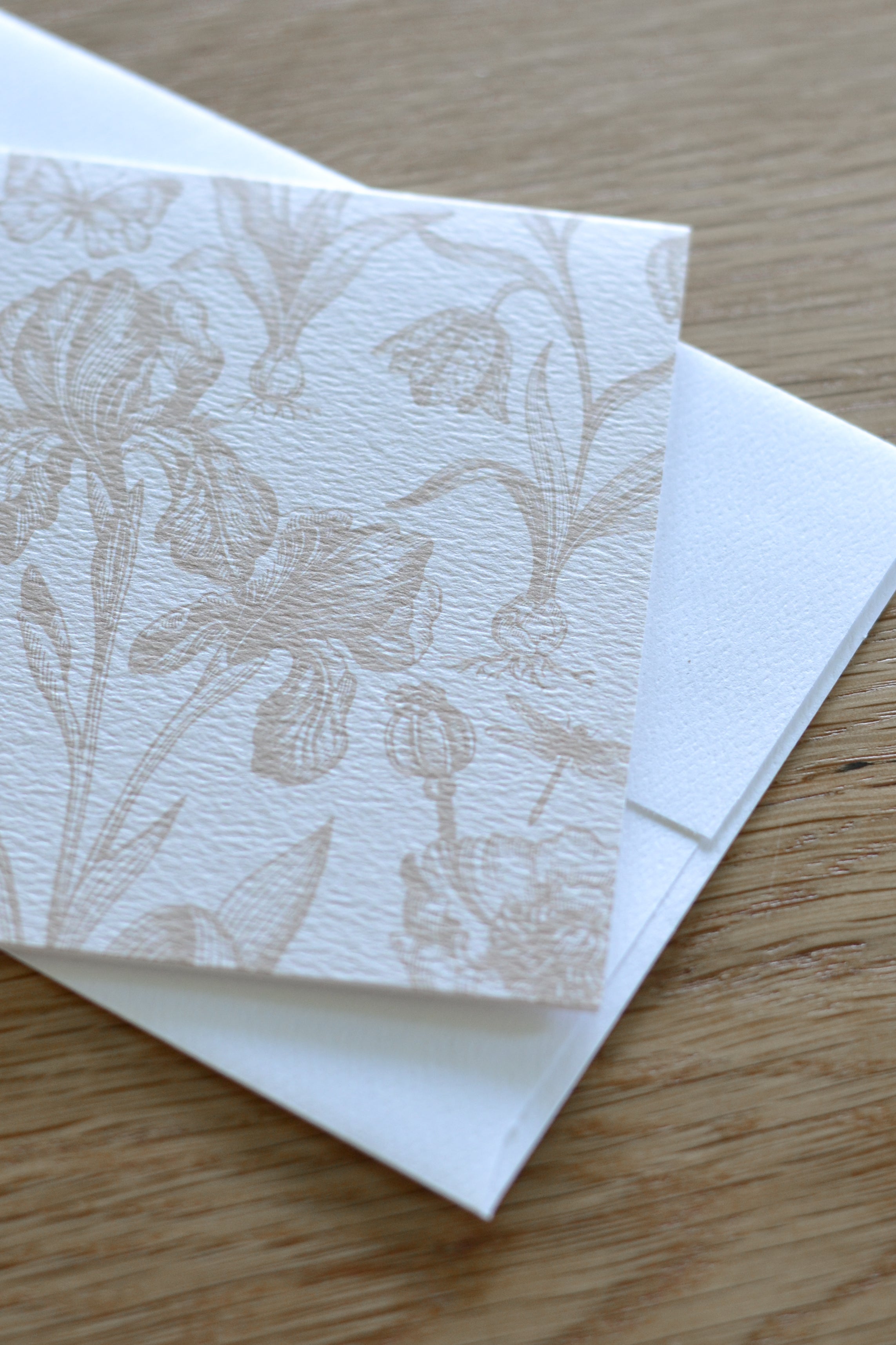 Premium Notecards | Set of 8 - Aimee Weaver Designs