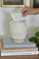 Decorative tissue holder vase, placed on books with a plant and framed pictures in the background.