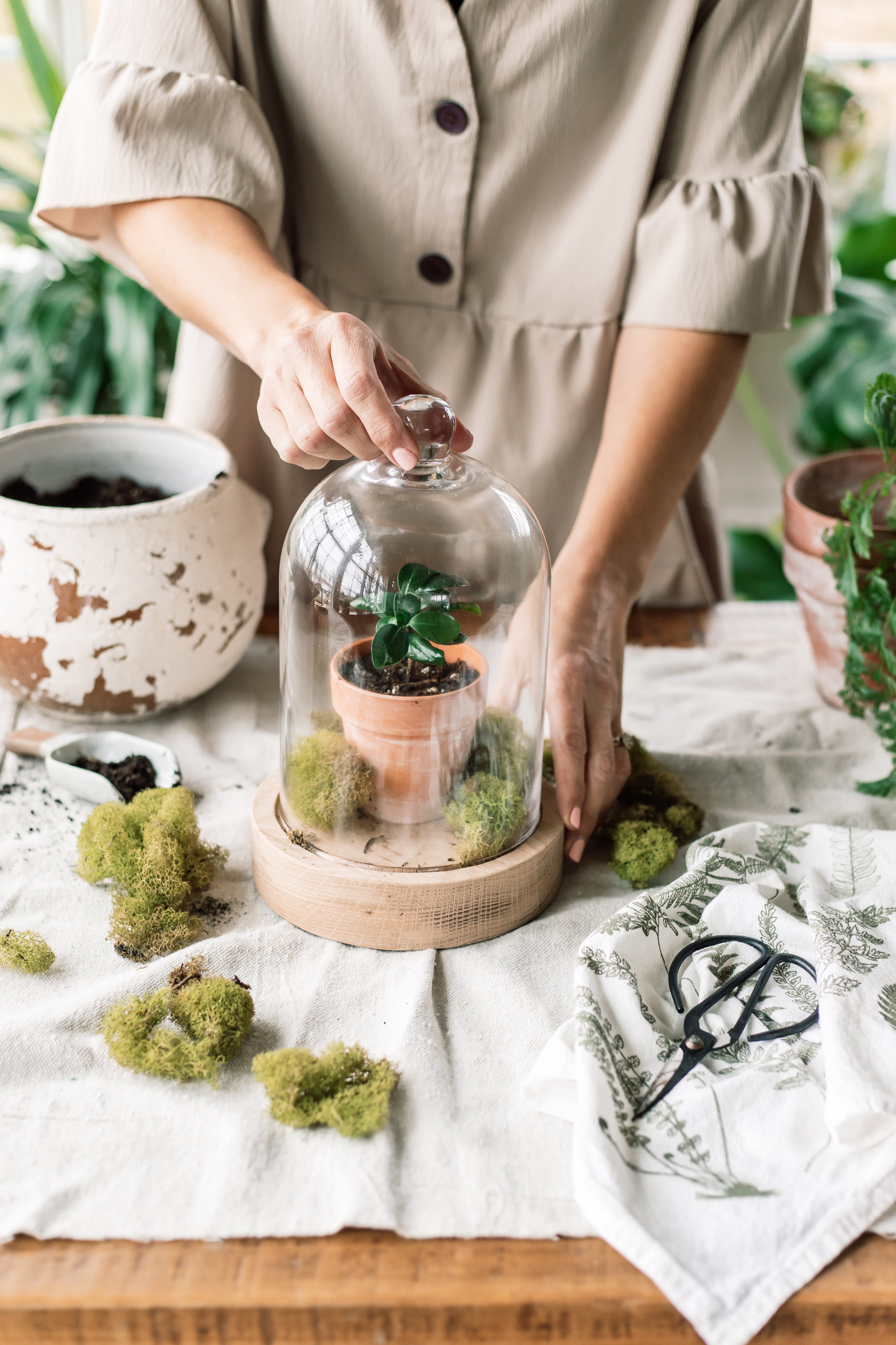 Clear Glass Dome With Wood Base - Aimee Weaver Designs