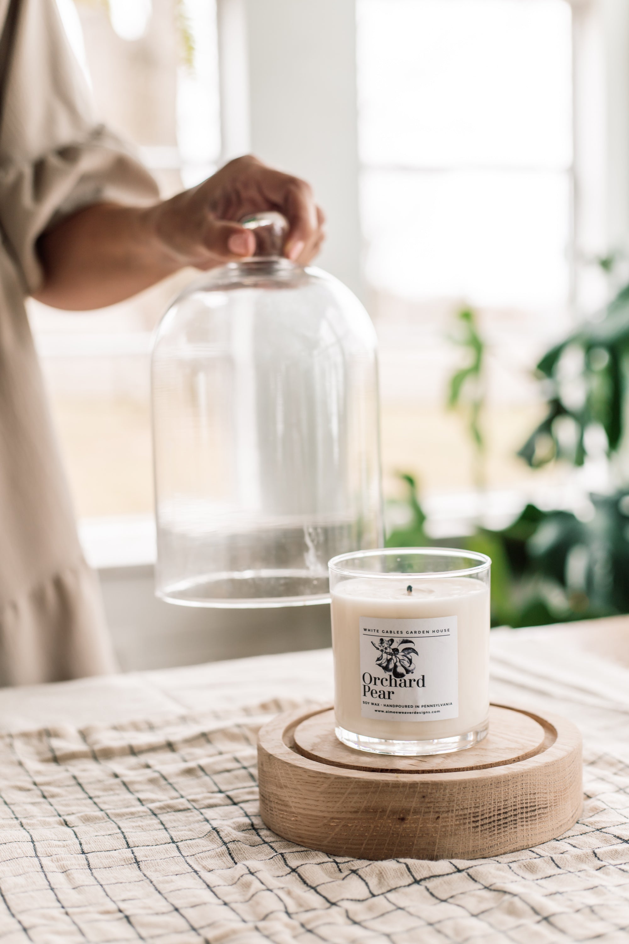 Clear Glass Dome With Wood Base - Aimee Weaver Designs