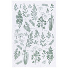 Rosemary & Thyme Dish Towels (set of 2) - Aimee Weaver Designs