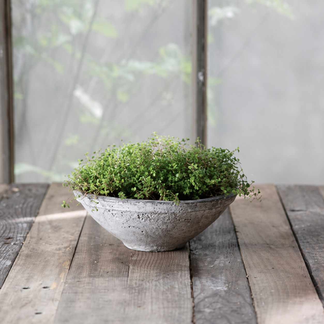 Terra Cotta Bowl - Aimee Weaver Designs