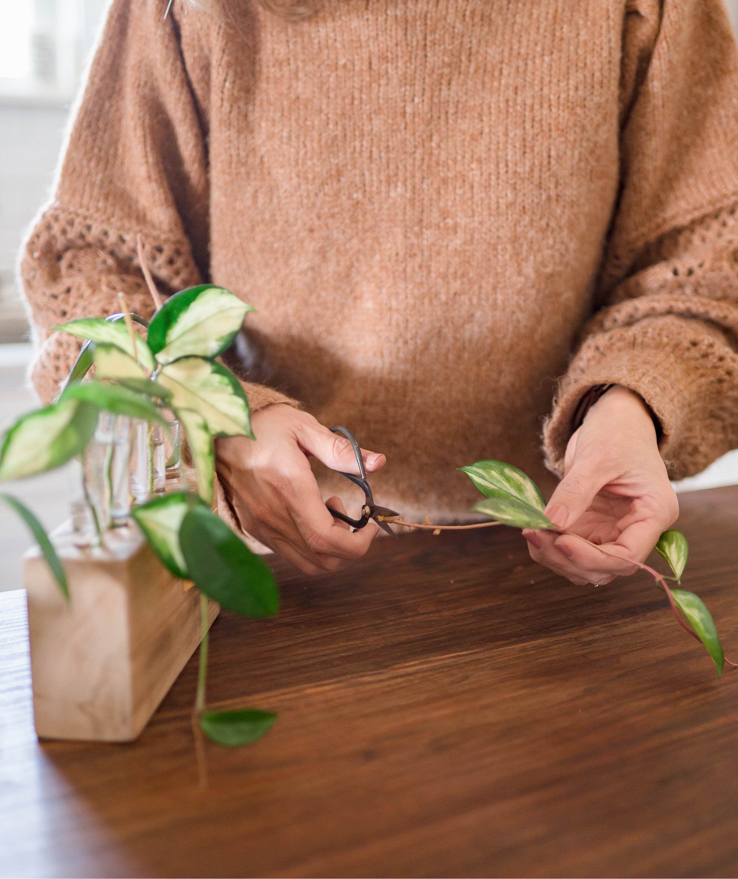 Wood Plant Propagation Stand - Aimee Weaver Designs